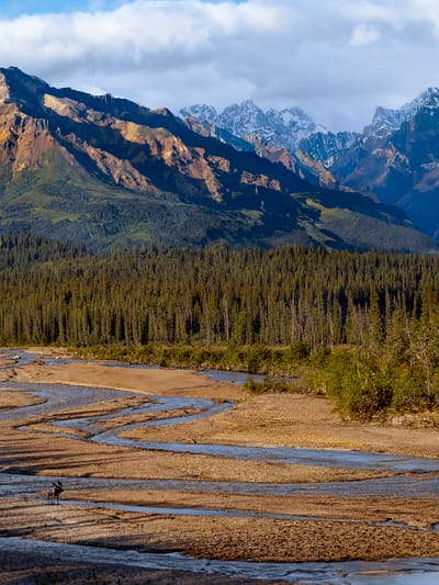 denali national park